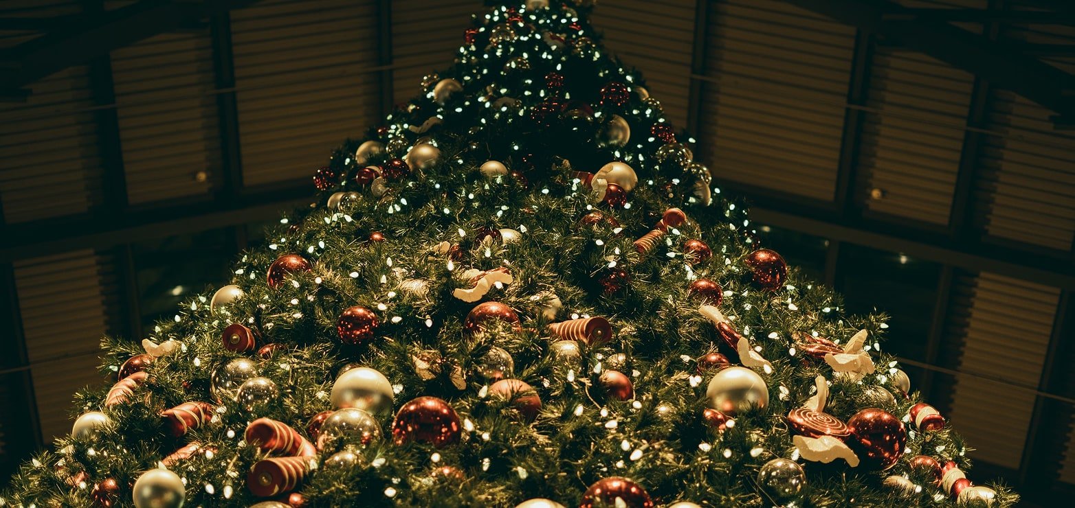 Xms Blog Post Video Opt